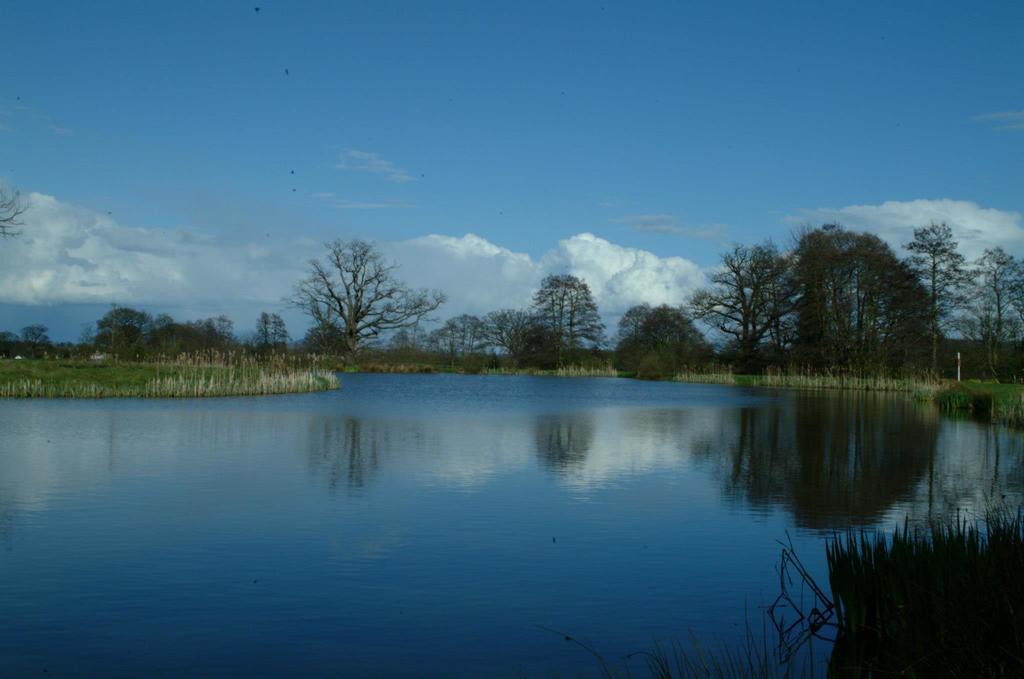 Dorrington Netley Hall מראה חיצוני תמונה